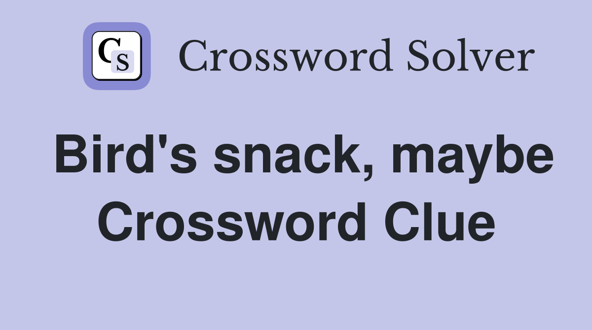 Bird's snack, maybe Crossword Clue
