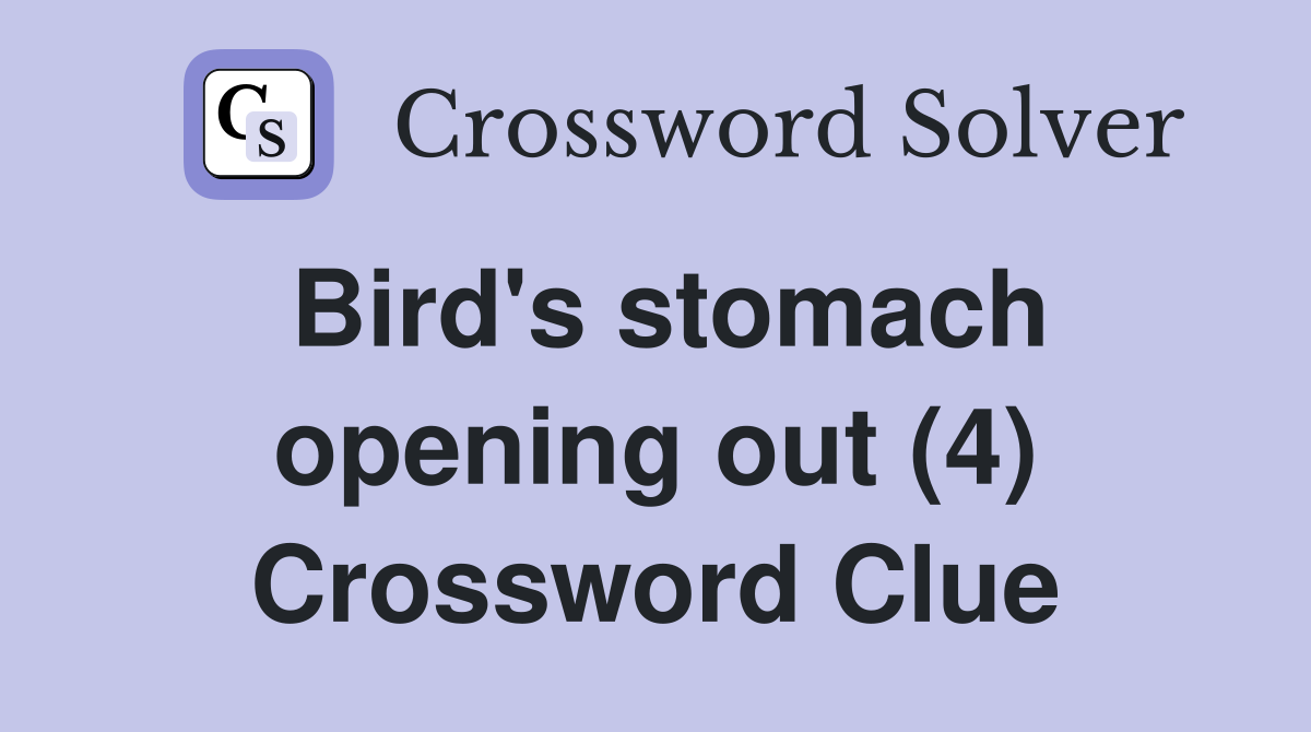 Bird's stomach opening out (4) Crossword Clue