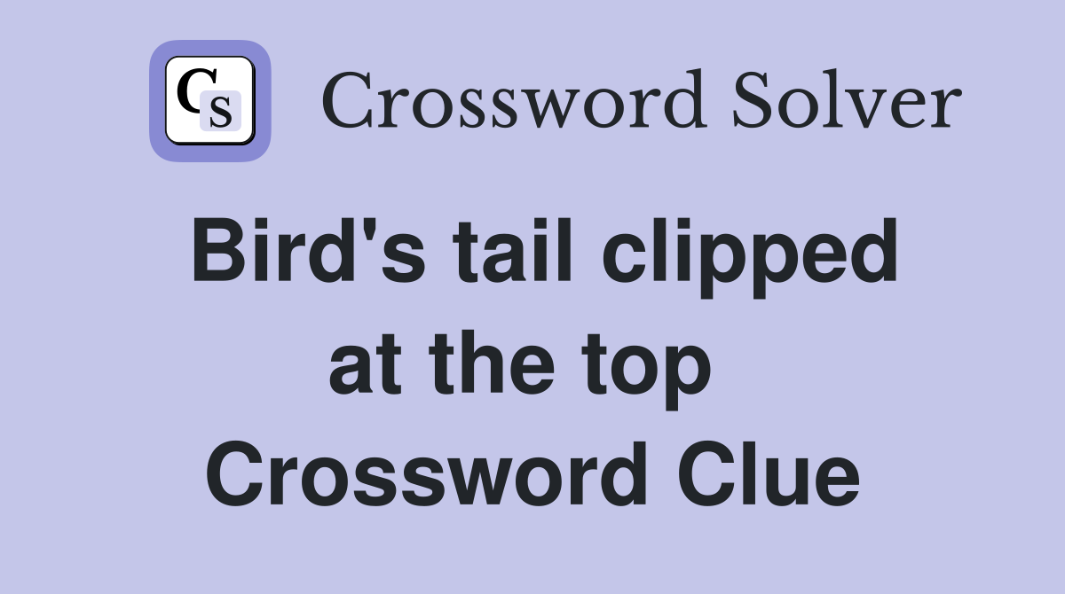 Bird's tail clipped at the top  Crossword Clue