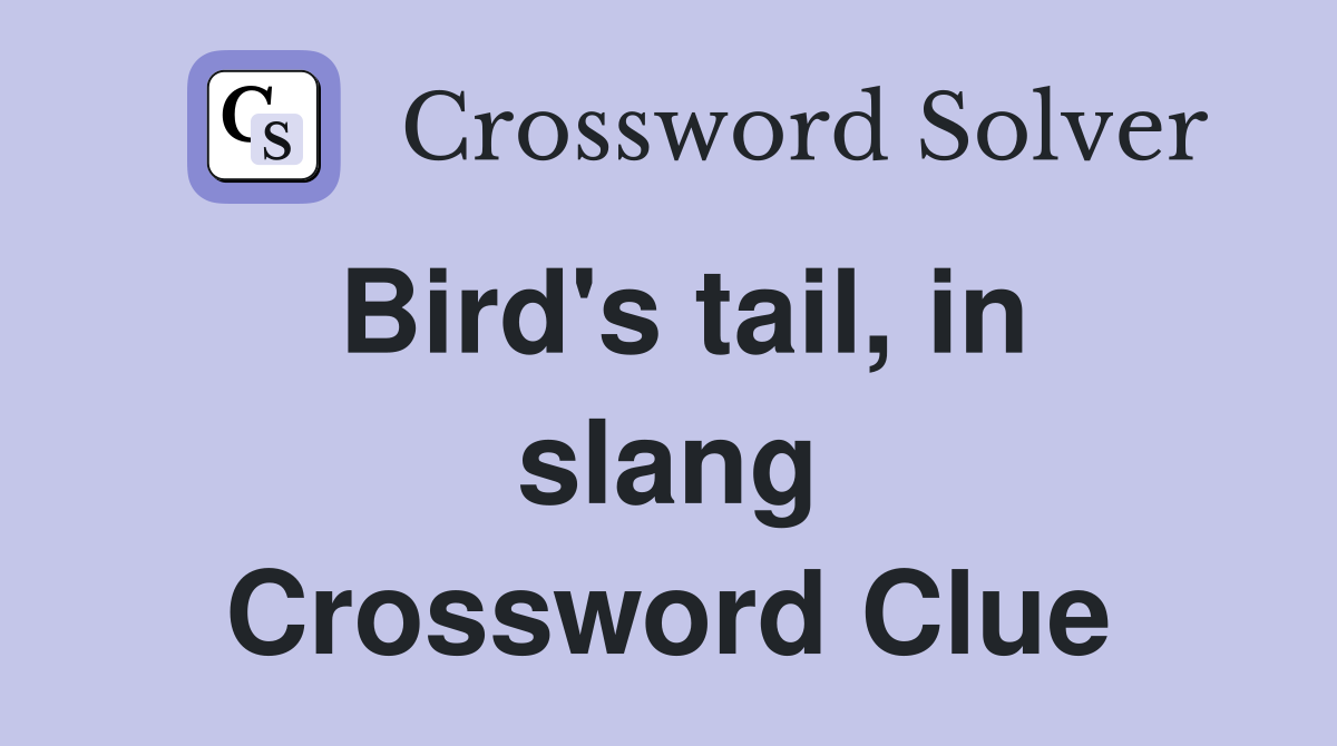 Bird's tail, in slang Crossword Clue