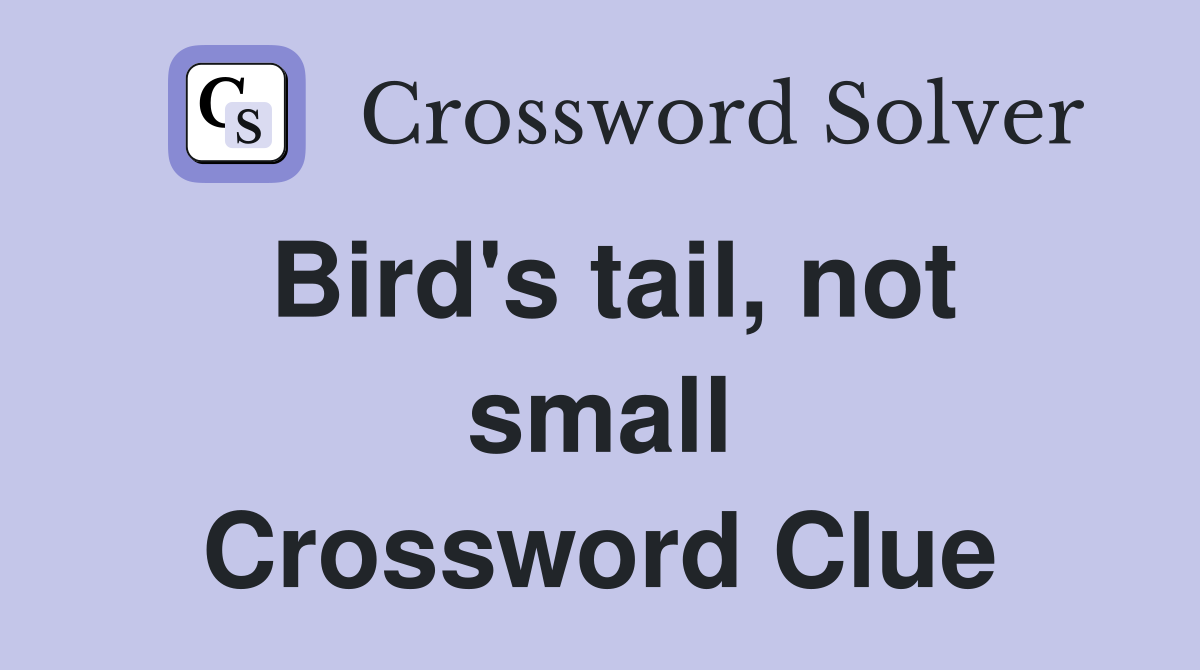 Bird's tail, not small Crossword Clue