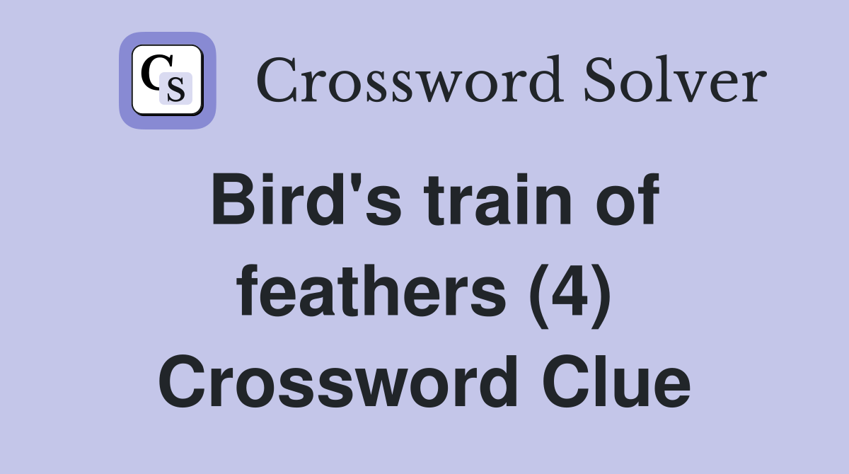 Bird's train of feathers (4) Crossword Clue