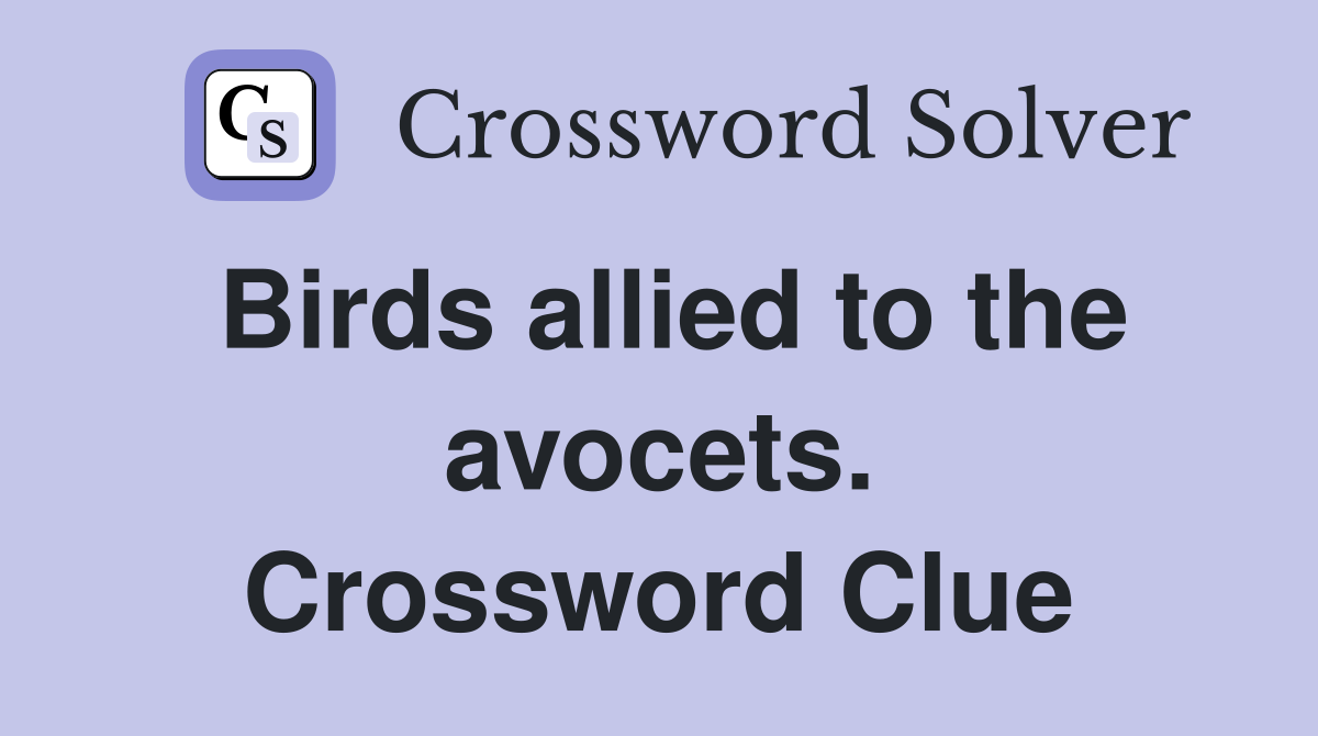 Birds allied to the avocets. Crossword Clue