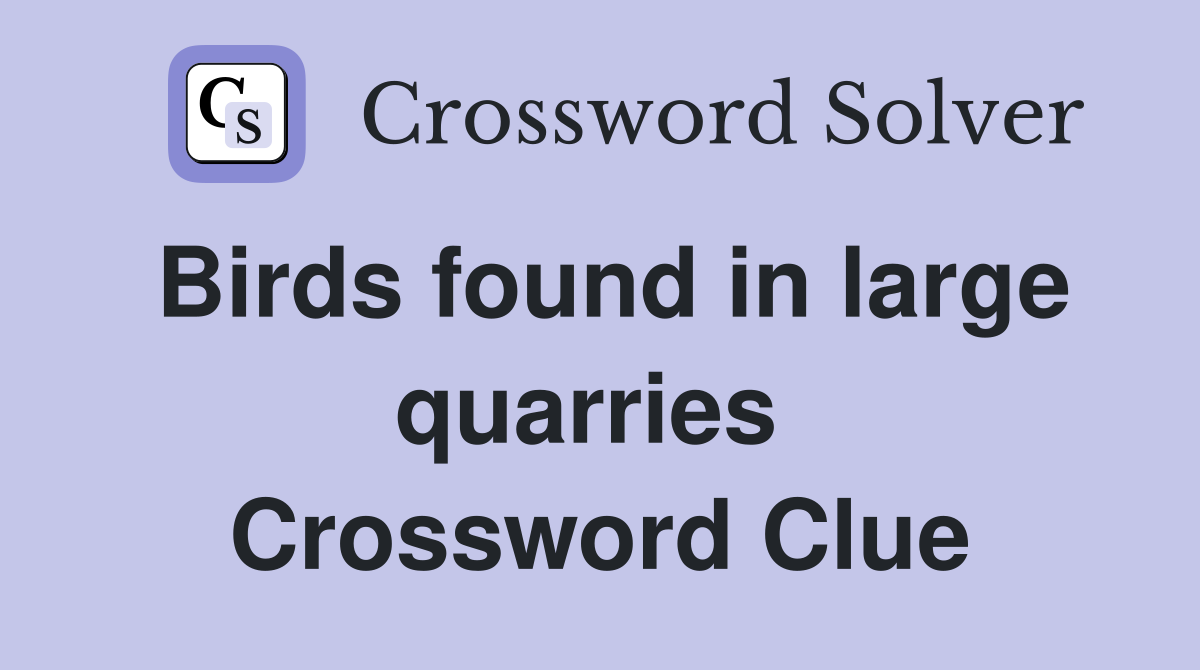 Birds found in large quarries  Crossword Clue