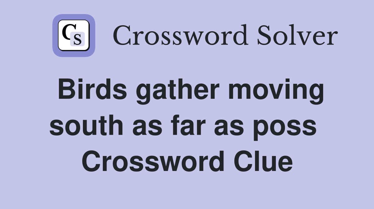 Birds gather moving south as far as poss  Crossword Clue