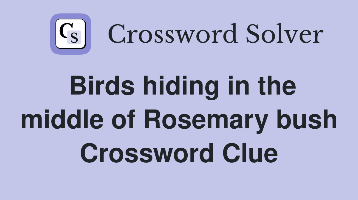 Birds hiding in the middle of Rosemary bush Crossword Clue