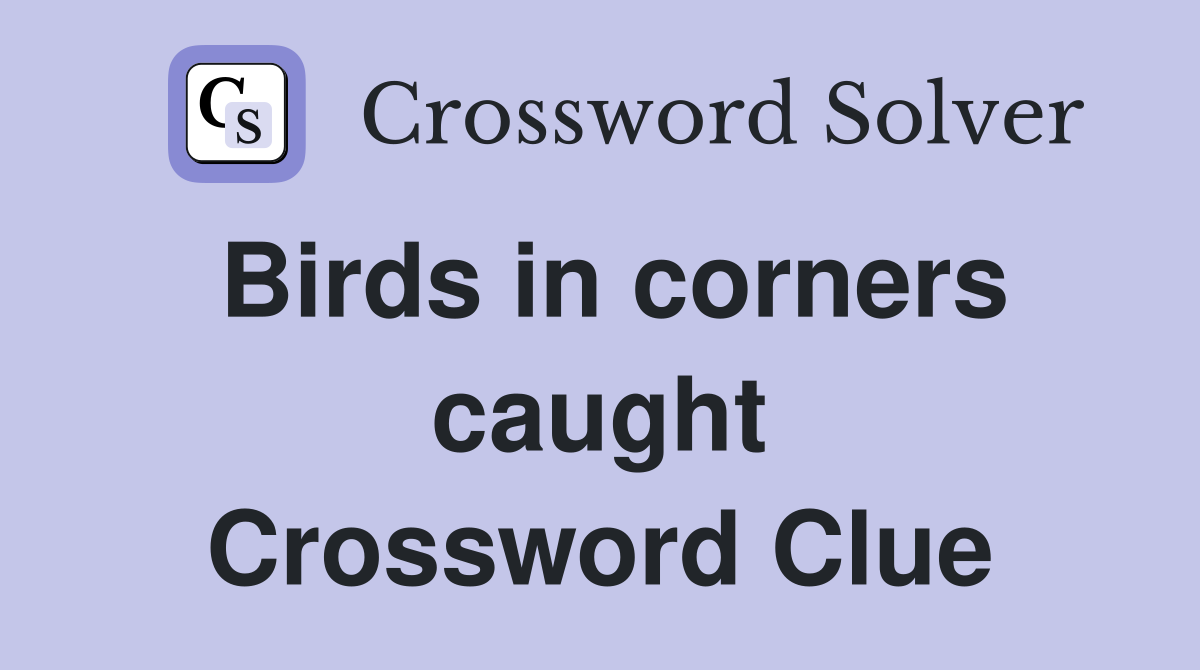Birds in corners caught Crossword Clue