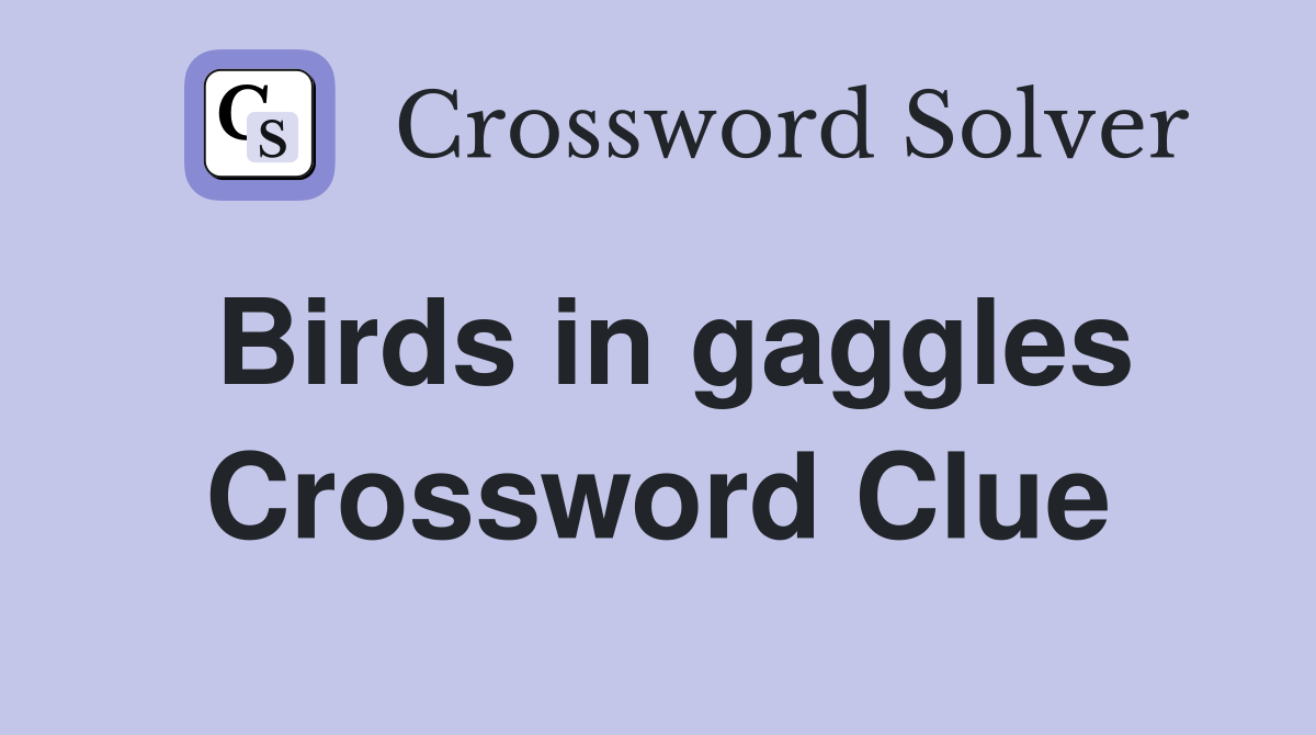 Birds in gaggles Crossword Clue