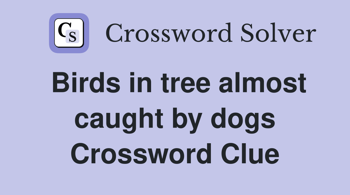 Birds in tree almost caught by dogs Crossword Clue