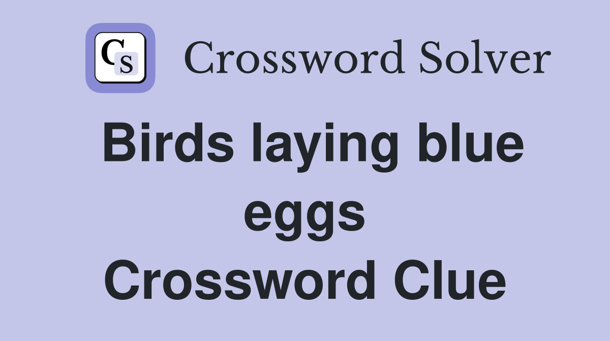Birds laying blue eggs Crossword Clue