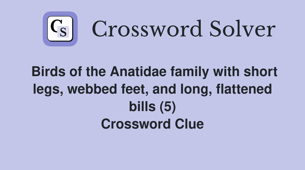 Birds of the Anatidae family with short legs, webbed feet, and long, flattened bills (5) Crossword Clue