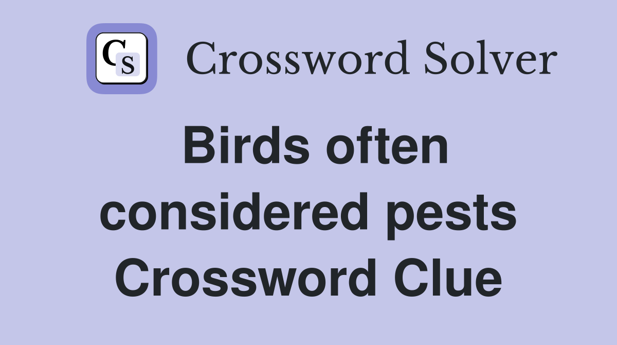 Birds often considered pests Crossword Clue