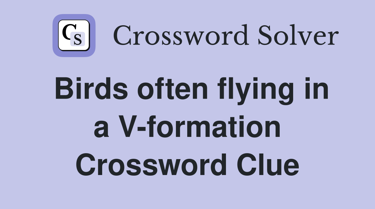 Birds often flying in a V-formation Crossword Clue