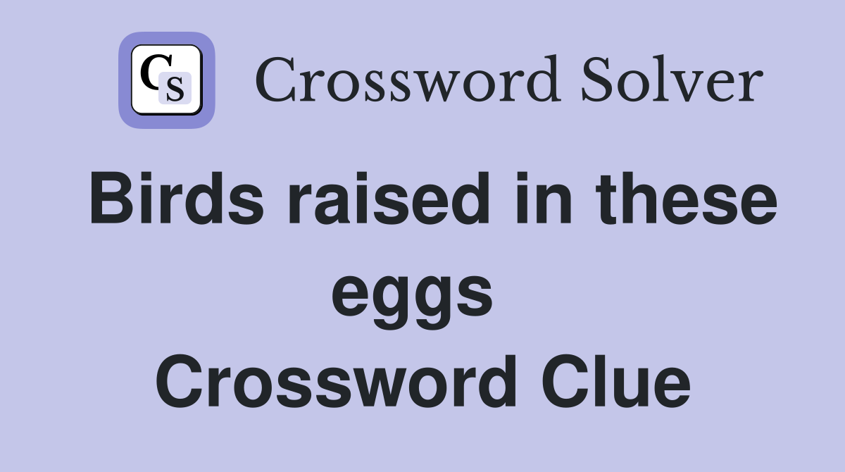 Birds raised in these eggs  Crossword Clue