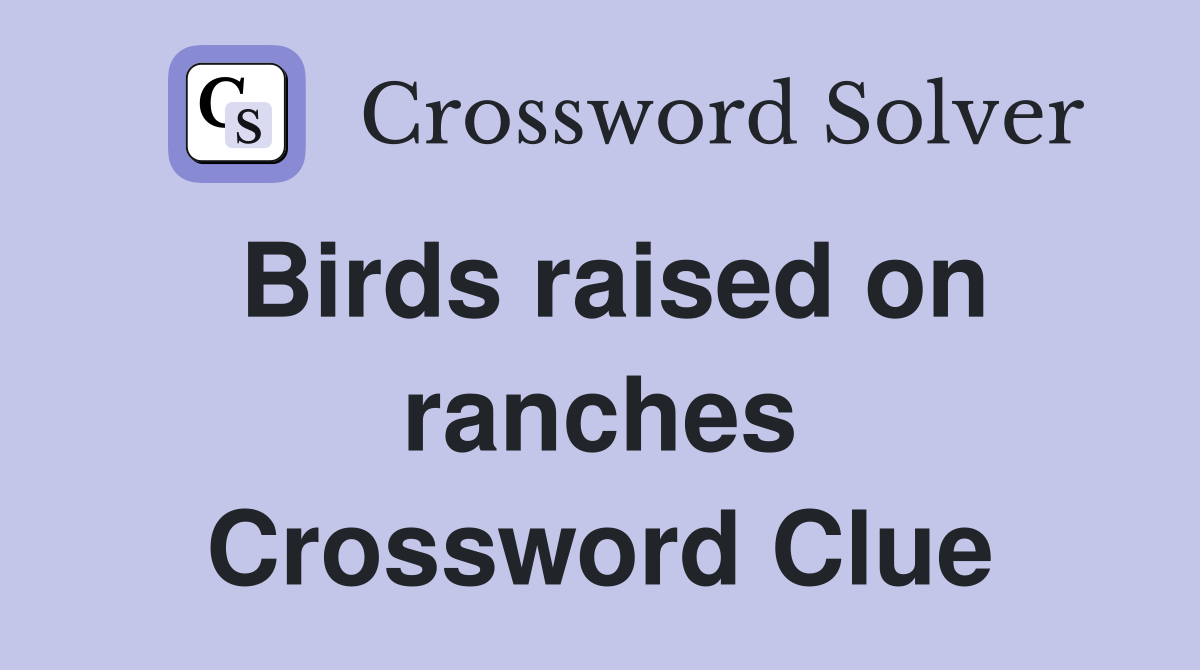 Birds raised on ranches Crossword Clue