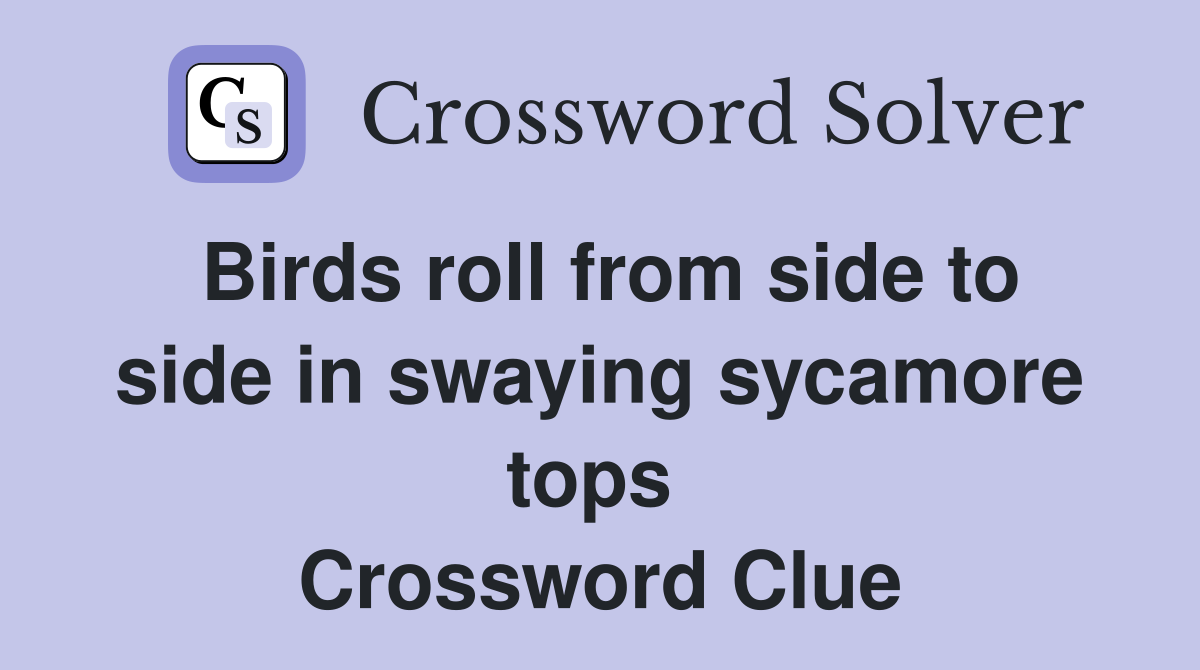 Birds roll from side to side in swaying sycamore tops  Crossword Clue