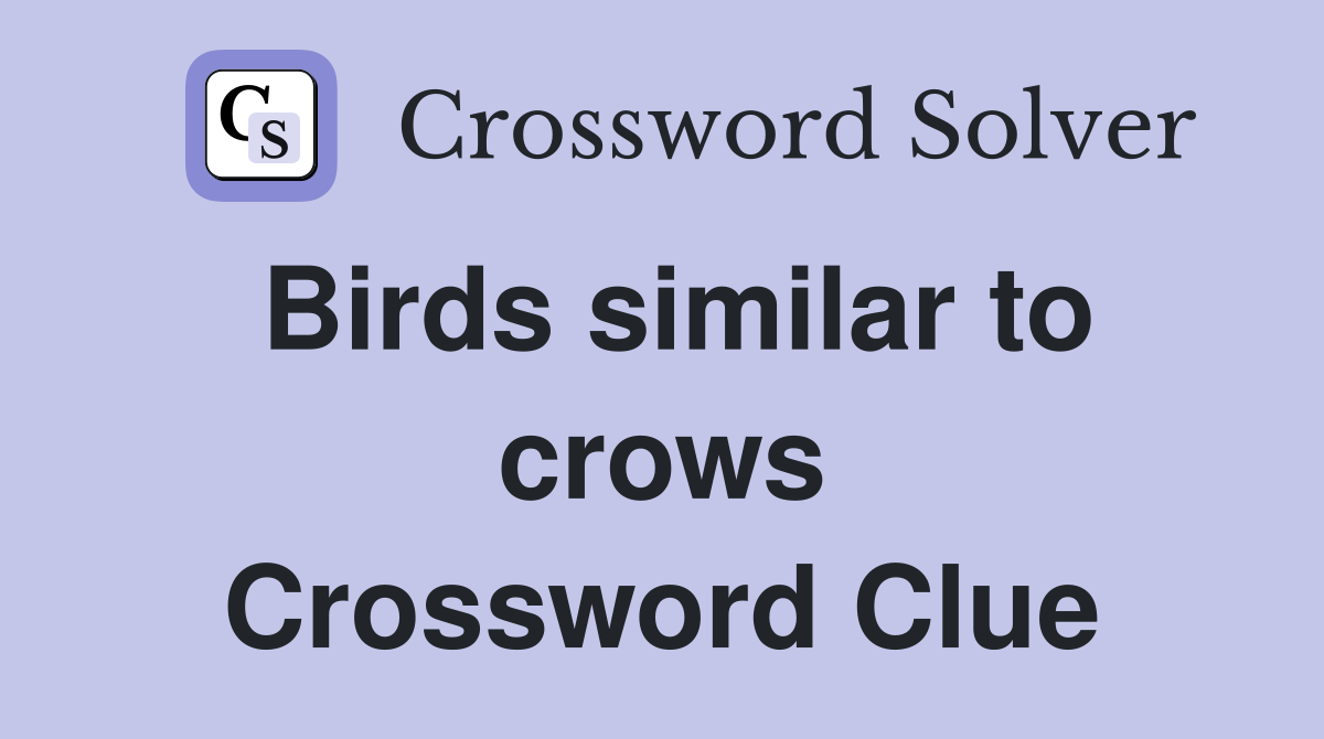Birds similar to crows Crossword Clue