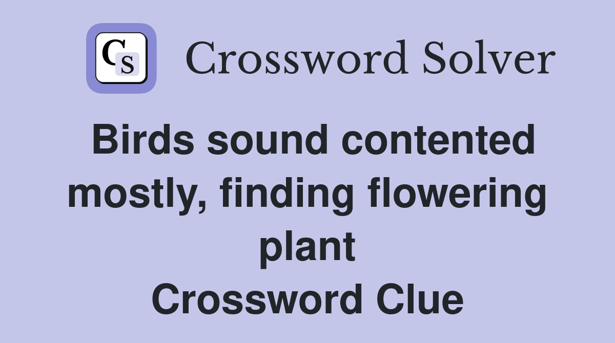 Birds sound contented mostly, finding flowering plant Crossword Clue