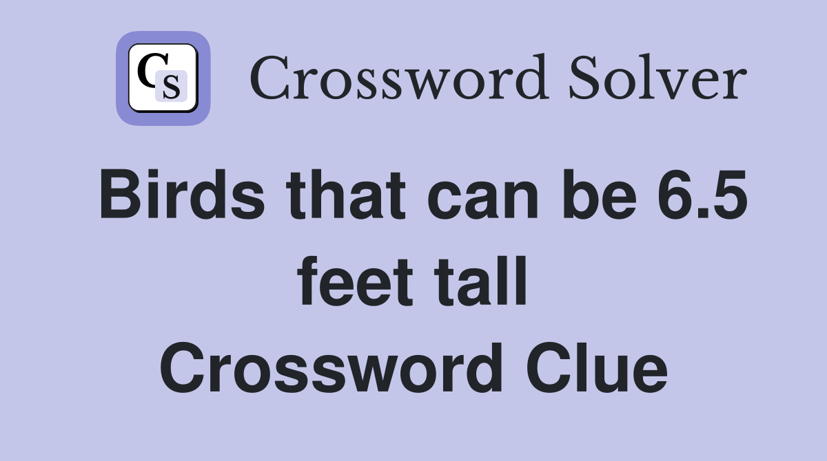 Birds that can be 6.5 feet tall Crossword Clue