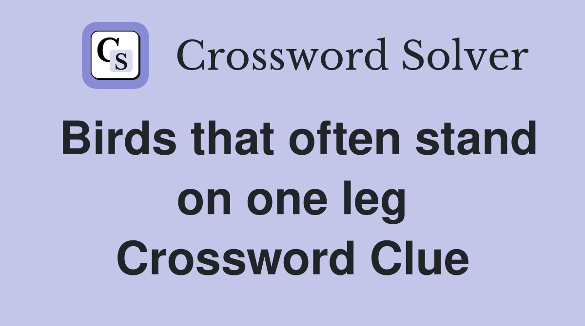 Birds that often stand on one leg Crossword Clue