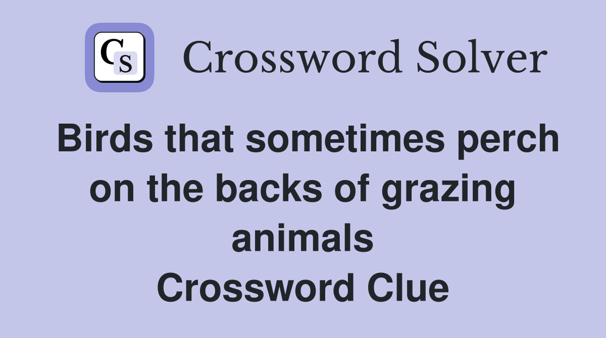Birds that sometimes perch on the backs of grazing animals Crossword Clue