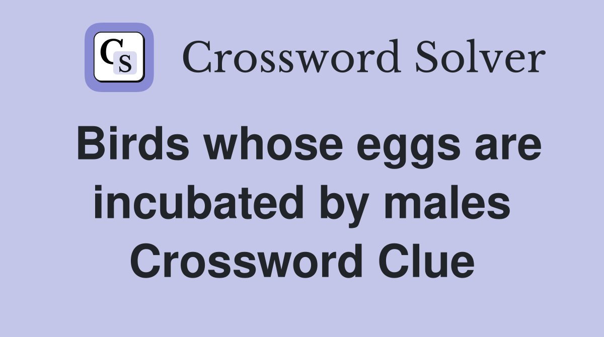 Birds whose eggs are incubated by males Crossword Clue