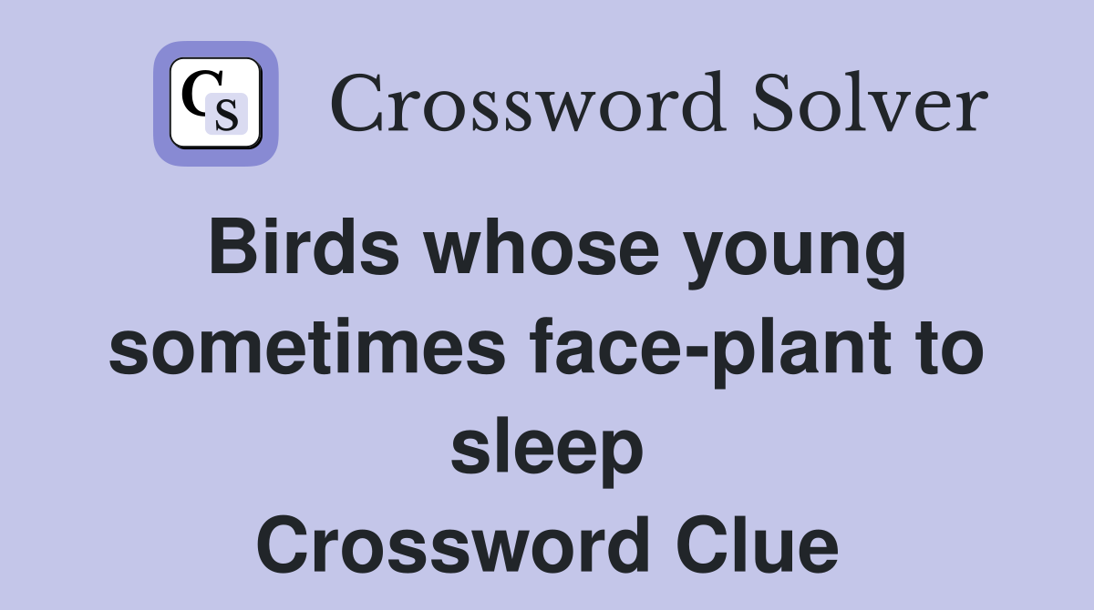 Birds whose young sometimes face-plant to sleep Crossword Clue