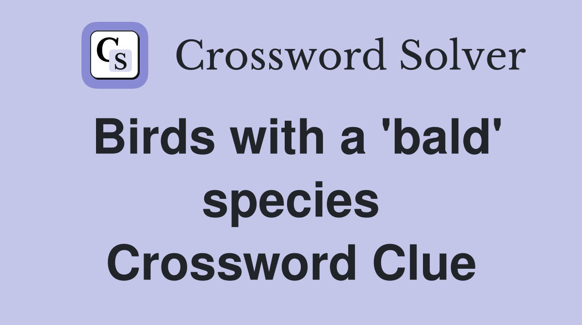 Birds with a 'bald' species Crossword Clue
