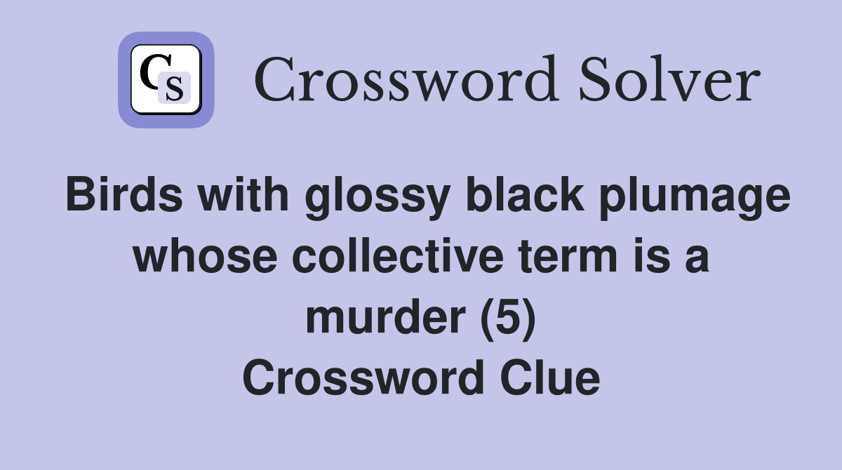 Birds with glossy black plumage whose collective term is a murder (5) Crossword Clue