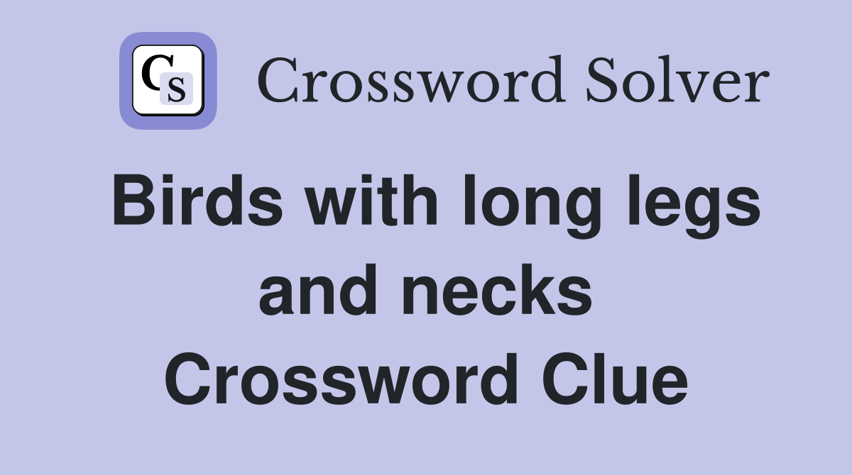 Birds with long legs and necks Crossword Clue