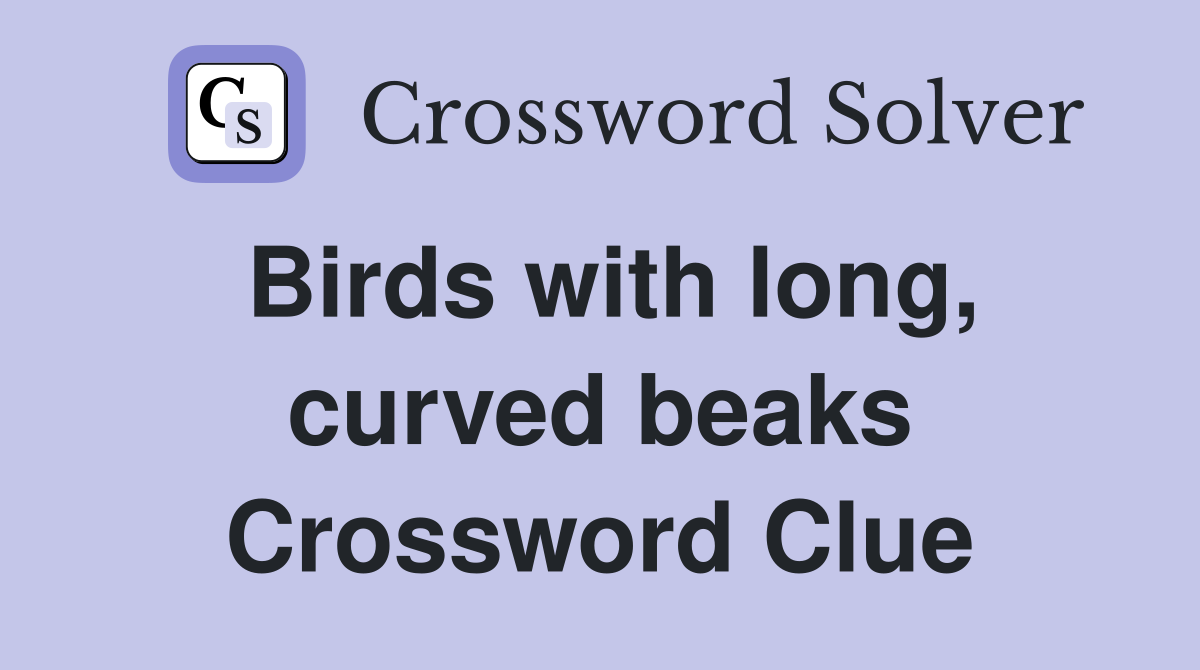 Birds with long, curved beaks Crossword Clue