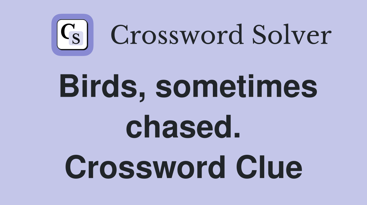 Birds, sometimes chased. Crossword Clue