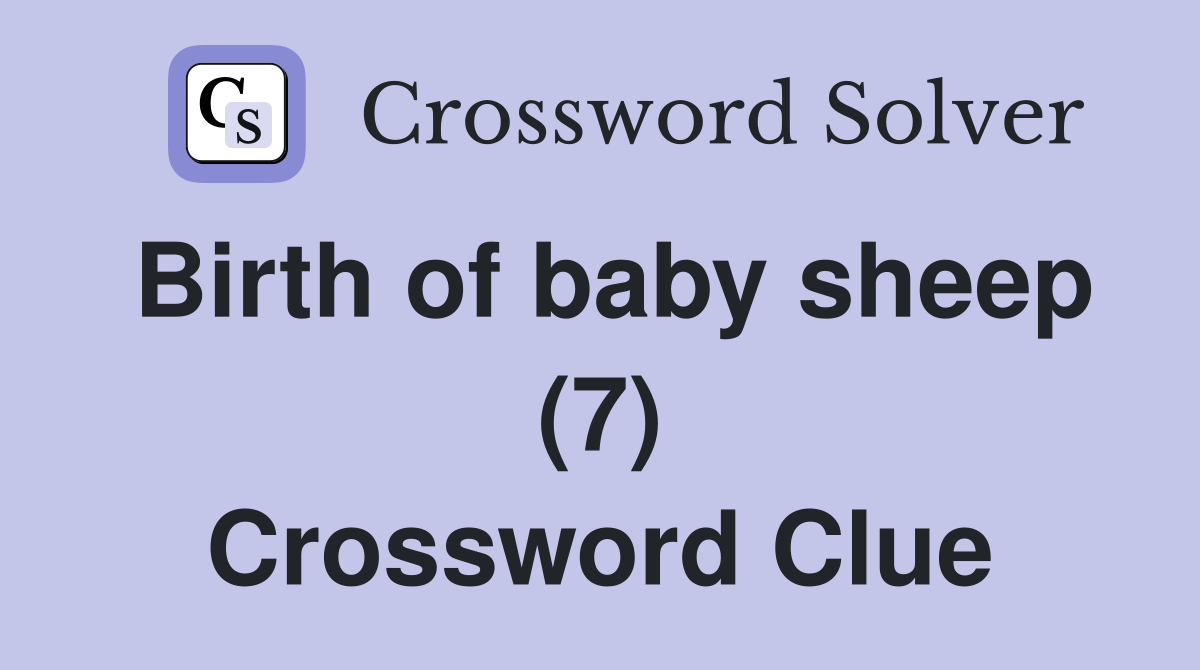 Birth of baby sheep (7) Crossword Clue