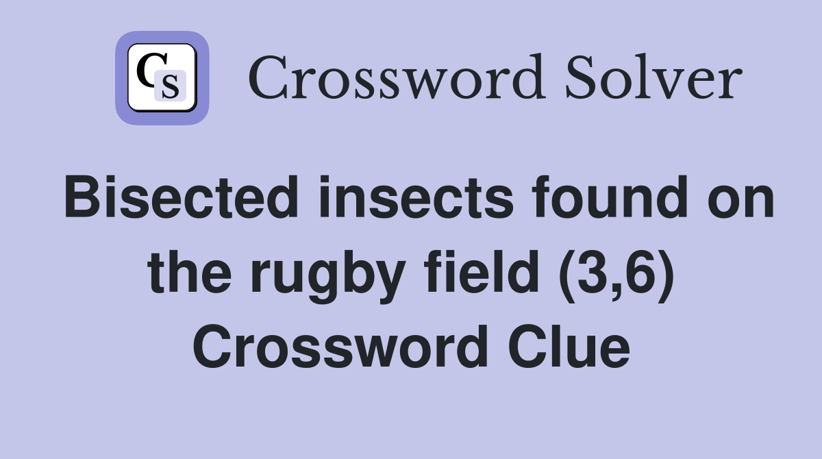 Bisected insects found on the rugby field (3,6) Crossword Clue