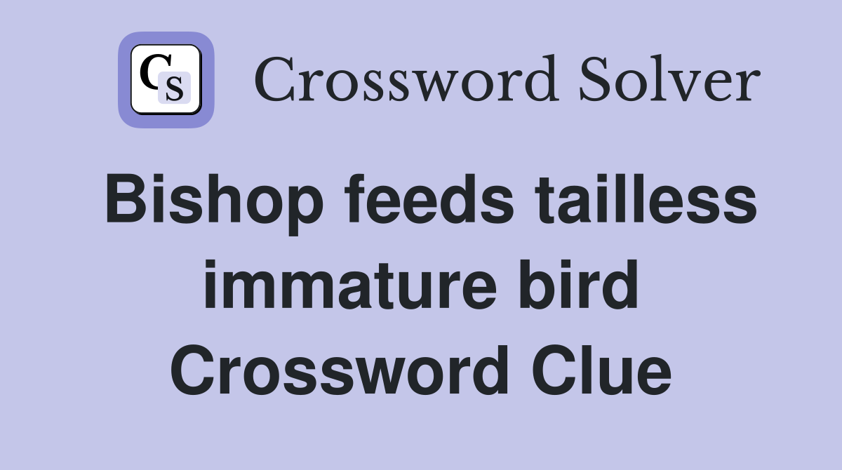 Bishop feeds tailless immature bird Crossword Clue