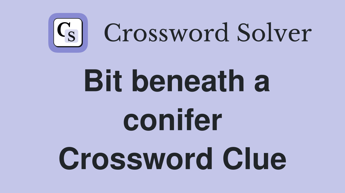 Bit beneath a conifer Crossword Clue
