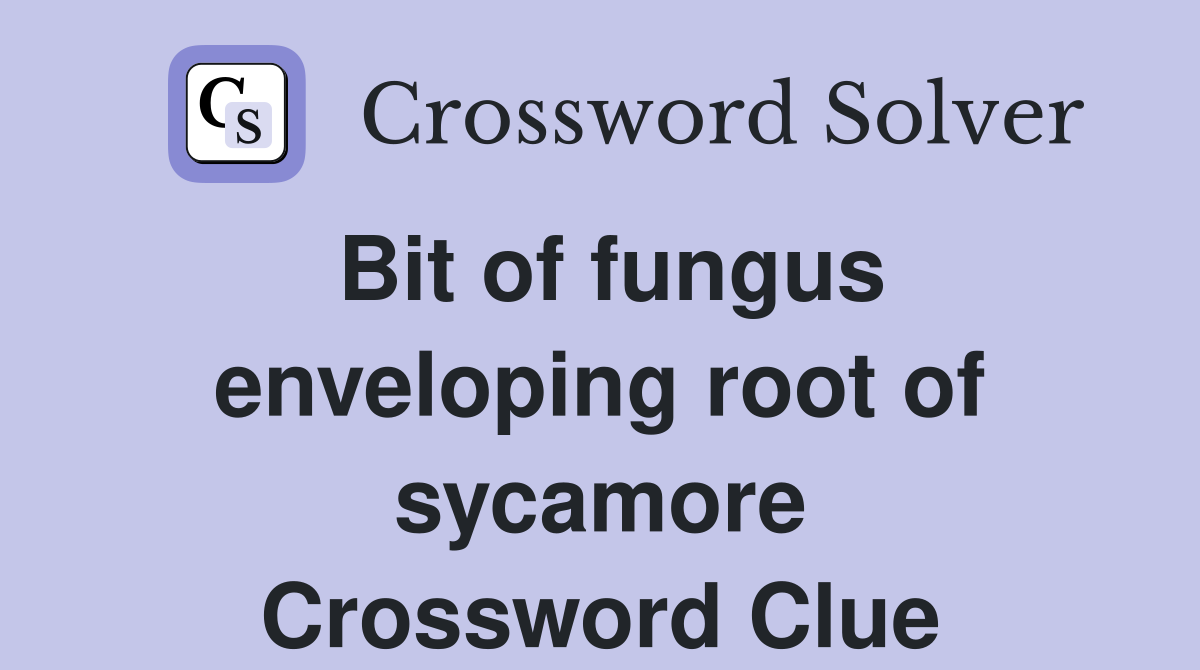 Bit of fungus enveloping root of sycamore Crossword Clue
