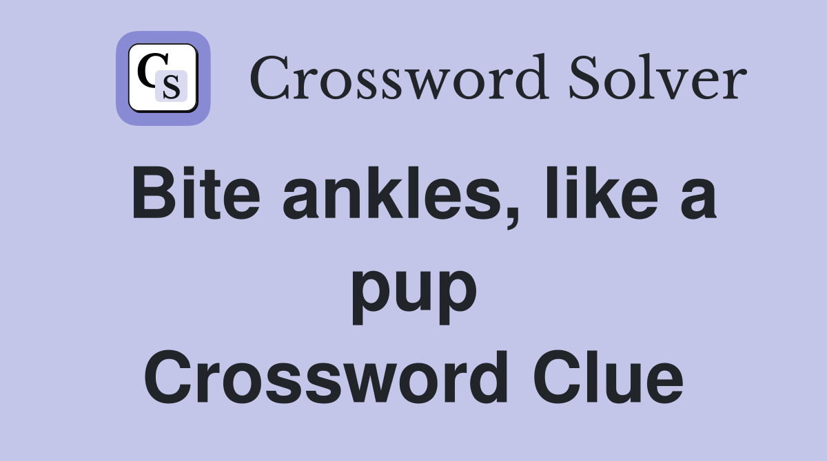 Bite ankles, like a pup Crossword Clue