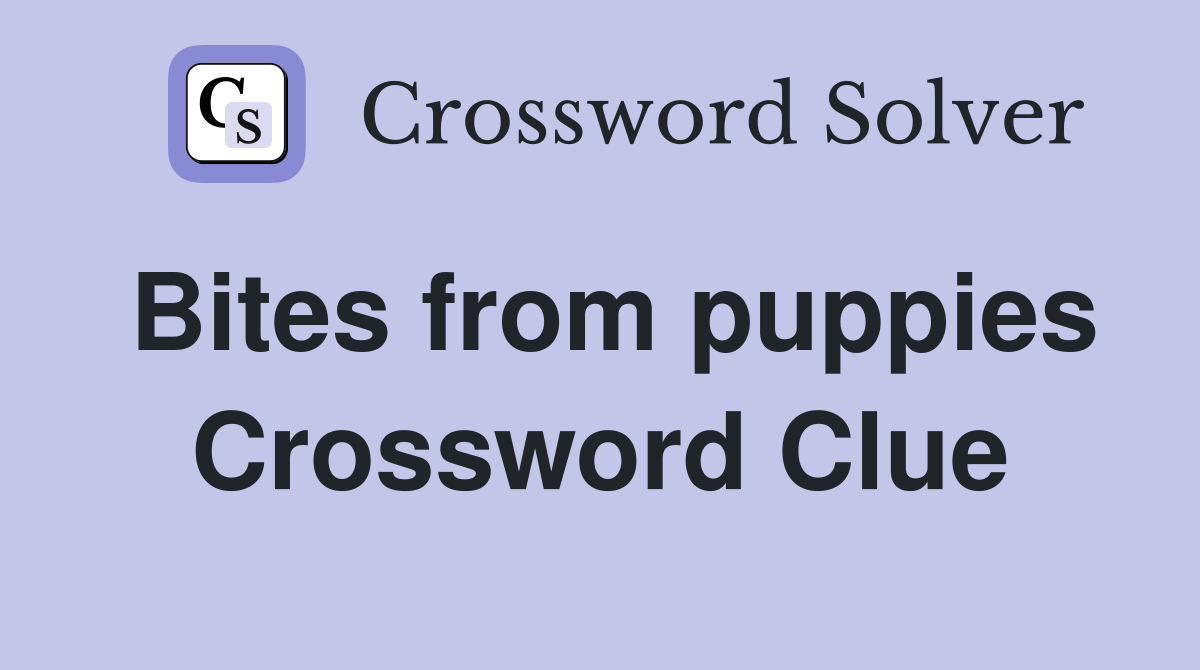 Bites from puppies Crossword Clue
