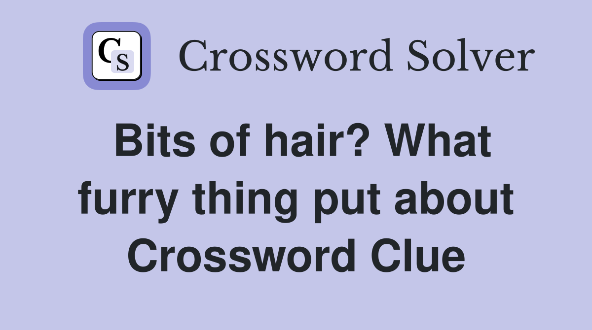 Bits of hair? What furry thing put about Crossword Clue