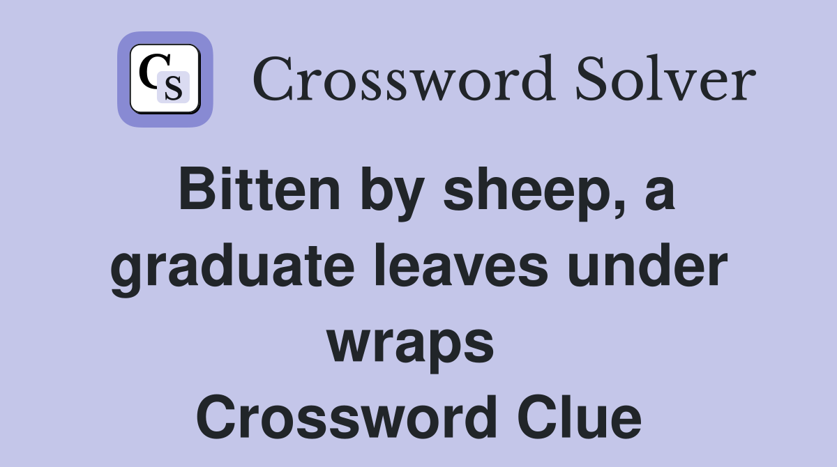 Bitten by sheep, a graduate leaves under wraps  Crossword Clue