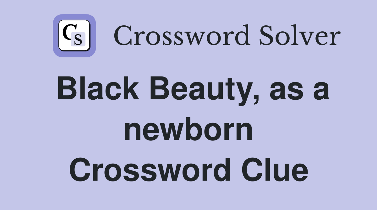 Black Beauty, as a newborn Crossword Clue
