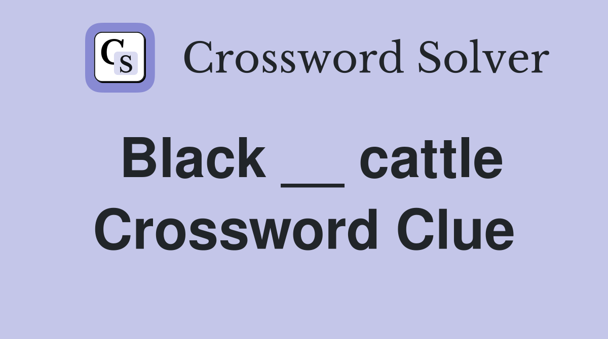 Black __ cattle Crossword Clue