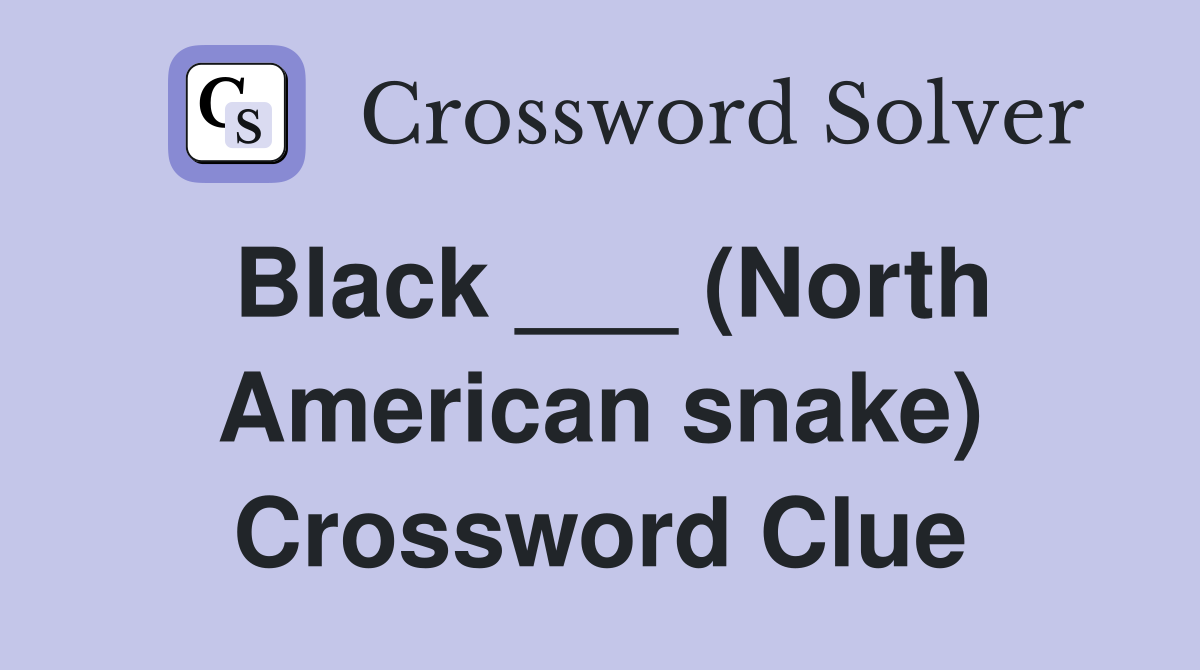 Black ___ (North American snake) Crossword Clue