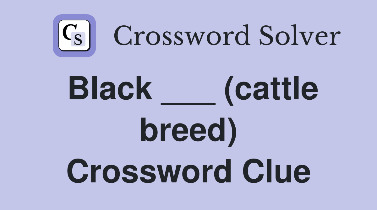 Black ___ (cattle breed) Crossword Clue