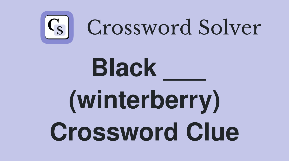 Black ___ (winterberry) Crossword Clue