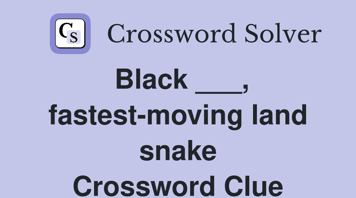Black ___, fastest-moving land snake Crossword Clue