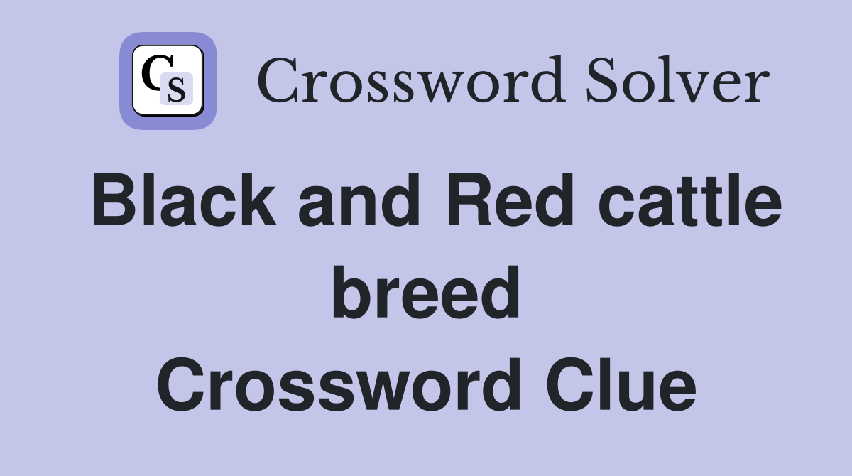Black and Red cattle breed Crossword Clue