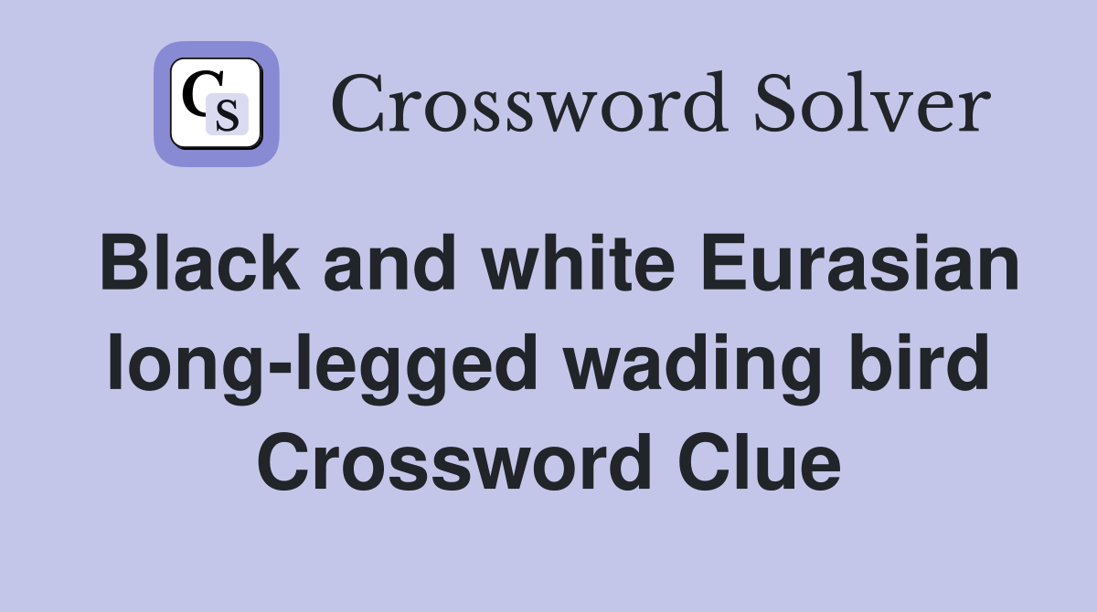 Black and white Eurasian long-legged wading bird Crossword Clue
