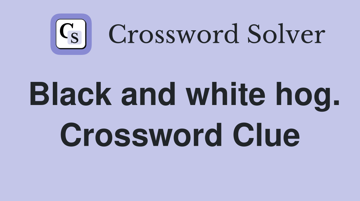 Black and white hog. Crossword Clue